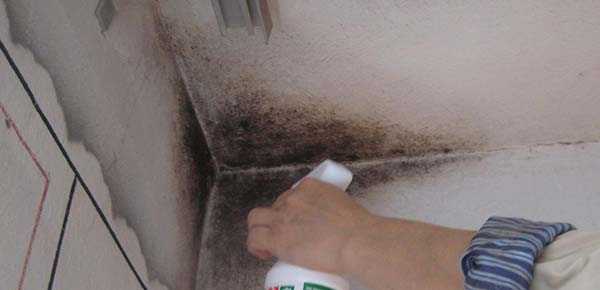 Как устранить пятна на потолке после покраски, инструкции на фото и видео (видео)