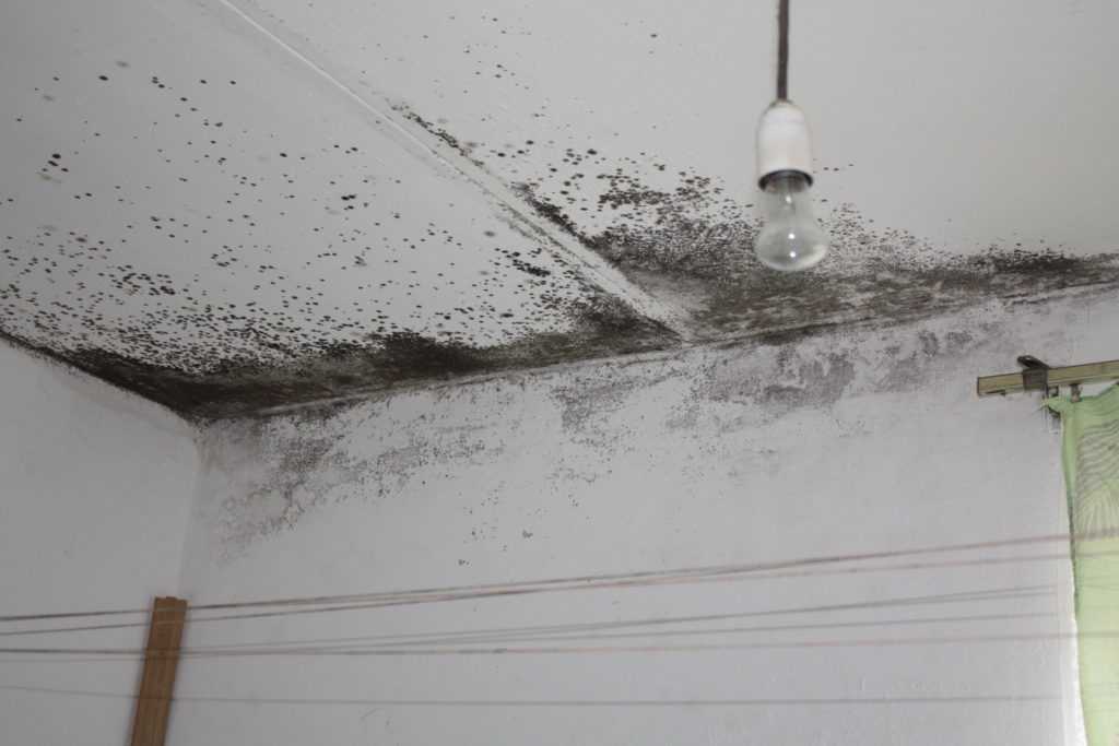 Как справиться с конденсатом на потолке