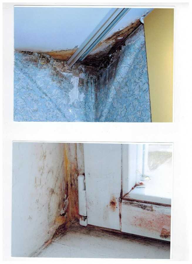 Чем отделывают стены при повышенной влажности в квартире на первом этаже