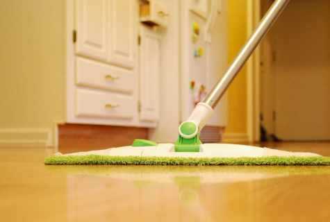 Можно ли пылесосить пол перед мытьем или вместо него?