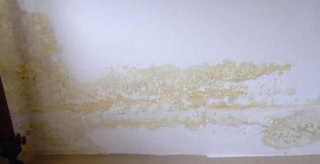 Белый потолок «на раз»: проверенные способы избавления от желтых пятен на потолке