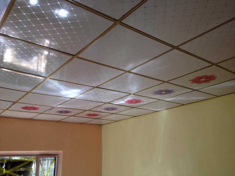 Пластиковые панели на потолок прихожей и коридора