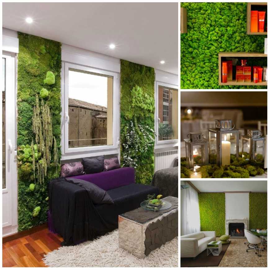 Стабилизированный мох - декор и дизайн интерьера квартиры и дома