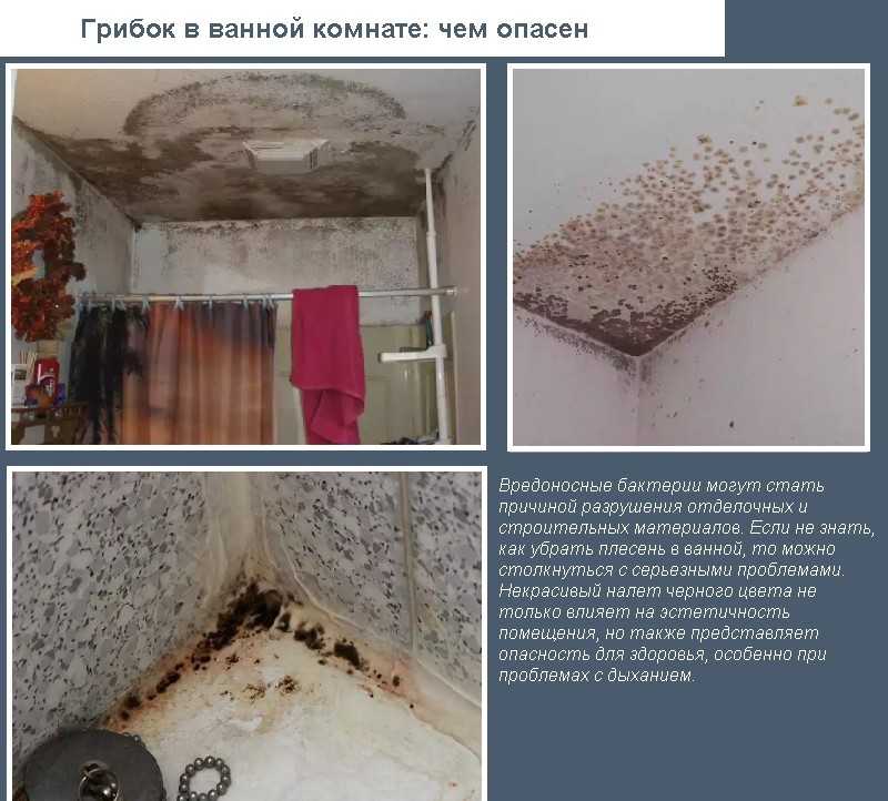 Плесень и грибок в квартире на потолке: причины, как убрать?