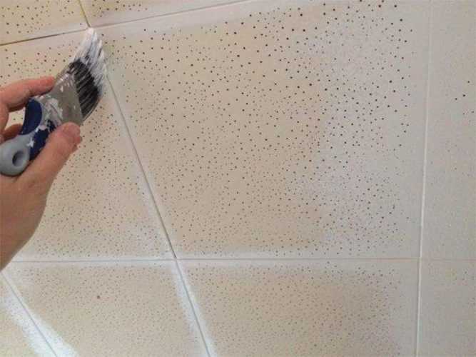 Как и чем помыть потолок из плитки пенопласта на кухне в домашних условиях