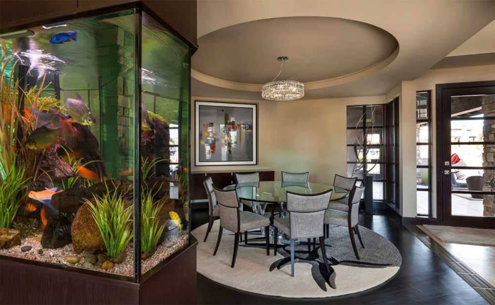 Куда поставить аквариум в квартире: рекомендации по выбору места, мнение специалистов по фен-шуй